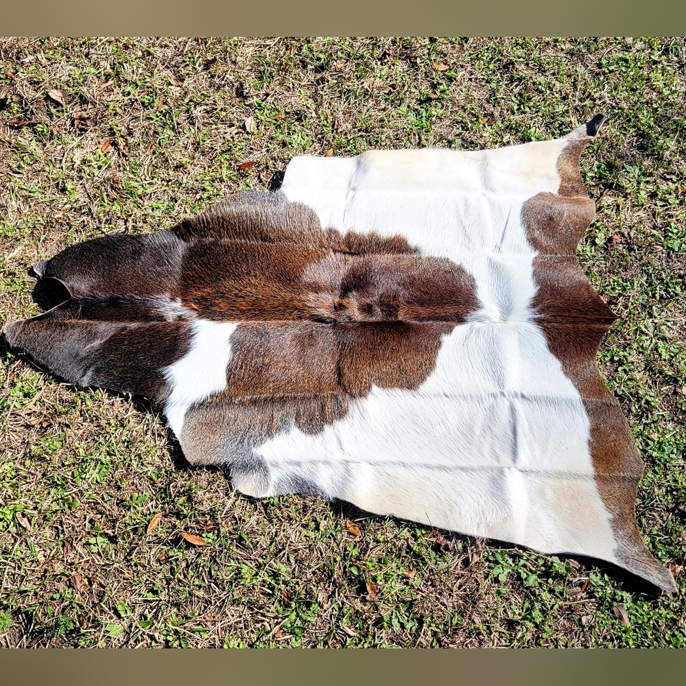 Painted Silver Bay Cowhide